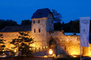 Vilbeler Burg